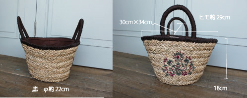 �V�[�O���X �o�b�O �J�W���A��