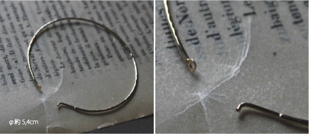 �A�N�Z�T���[ �s�A�X �u���X���b�g