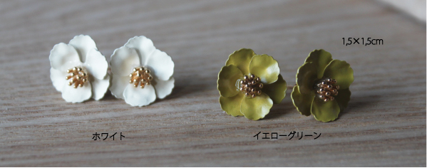 �t�����[ �A�N�Z�T���[ �s�A�X