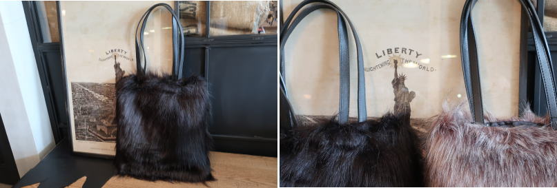  �g�[�g�o�b�O �{�A �G�R�t�@�[ 