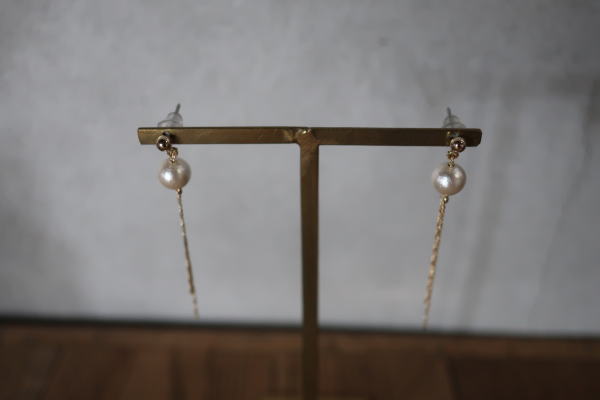 �p�[�� �A�N�Z�T���[ �s�A�X