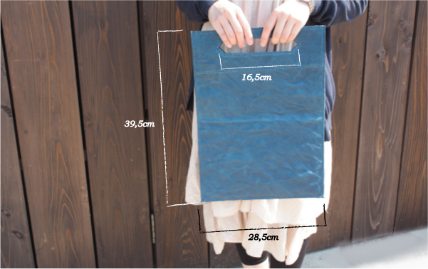 �{�v ���U�[ �o�b�O